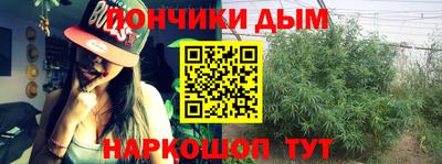 крисы Кунгур