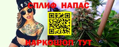крисы Кунгур