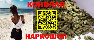 крисы Кунгур