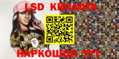 крисы Кунгур