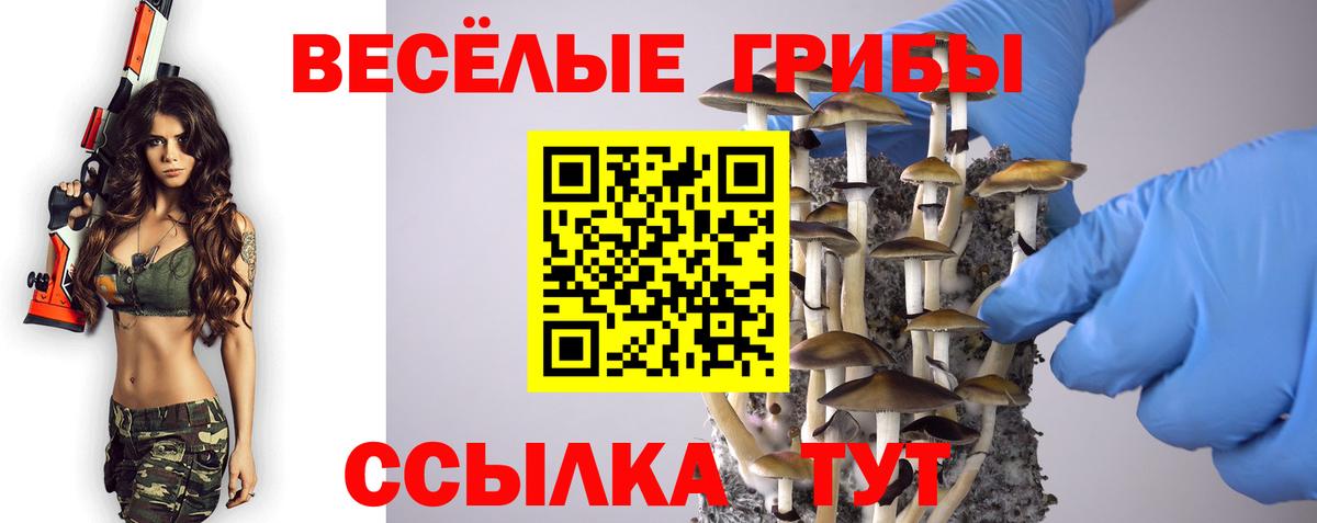 Псилоцибиновые грибы Magic Shrooms  Вход с VPN  Дубна  Псилоцибиновые грибы GOLDEN TEACHER 